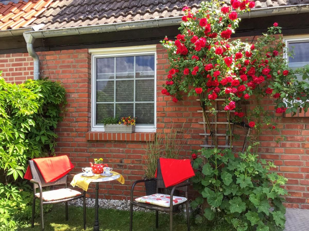 Ferienwohnung Schubertstrasse 말호프 외부 사진